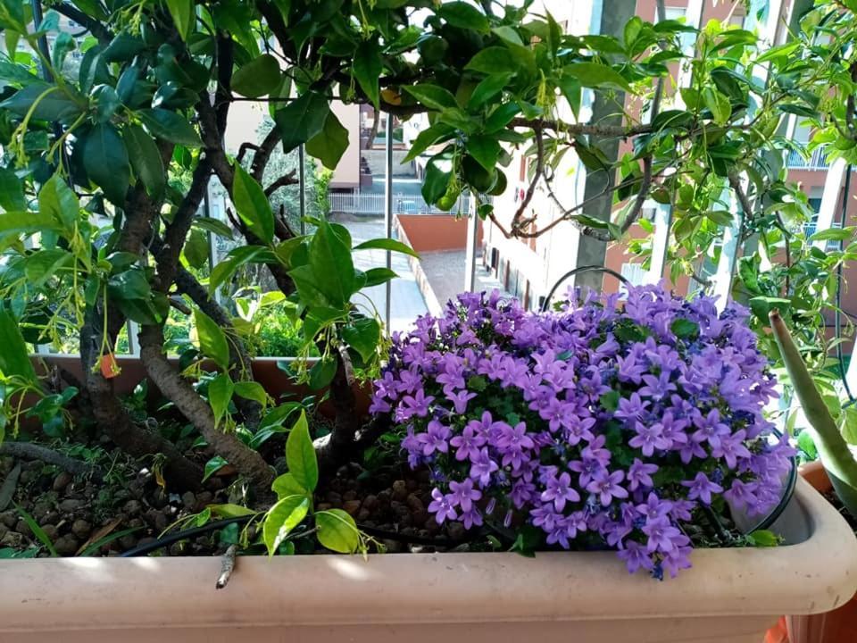 Appartamento Con Terrazzo A Gorgonzola Exteriör bild